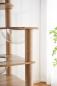 Preview: Snoekie Stabiler Kratzbaum mit Katzenhaus, Acryl-Körben und Kletterleiter