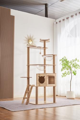 Snoekie Stabiler Kratzbaum mit Katzenhaus, Acryl-Körben und Kletterleiter